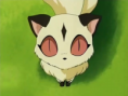 /album/fotogaleria/kirara-2-png/